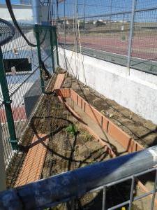 ceclavin HUERTO 711 (14)